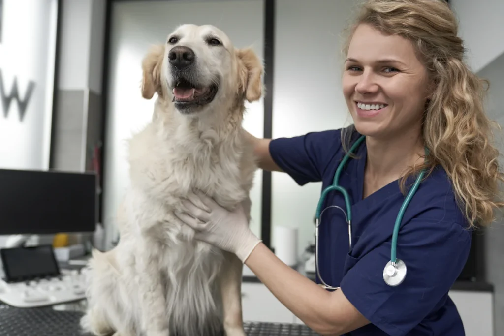 Une femme en blouse et avec un stéthoscope qui joue avec un chien